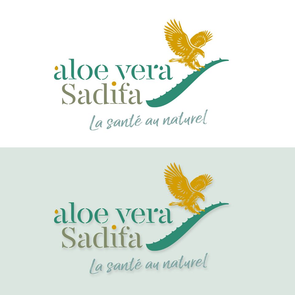 Conception du logo Aloe vera Sadifa