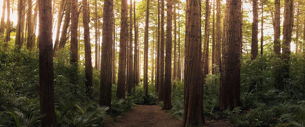 site respectueux de l'environnement