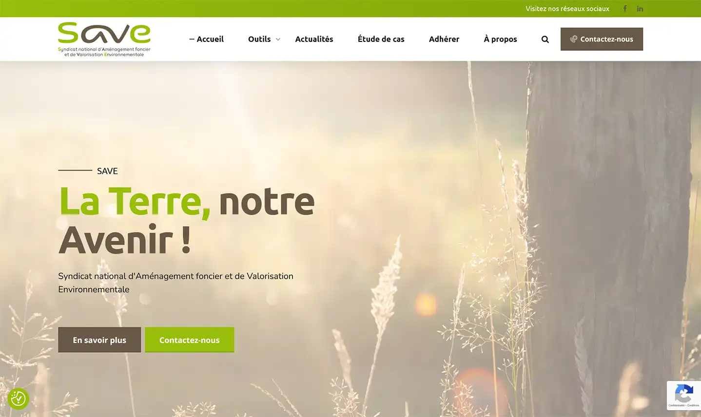 Création du site internet pour SAVE