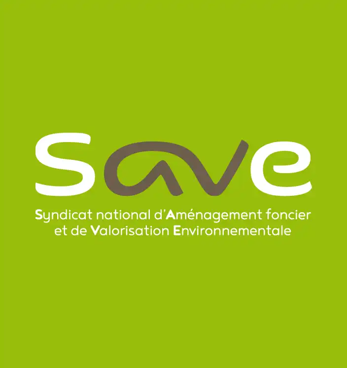 Création du logo SAVE